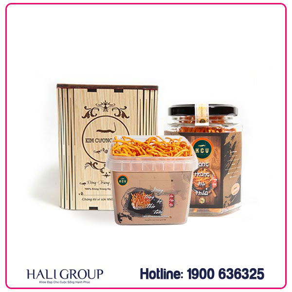 Combo Đông Trùng Hạ Thảo Khô Và Tươi Kim Cương Vàng