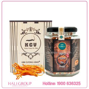 đông trùng hạ thảo khô kim cương vàng hộp gỗ 10g