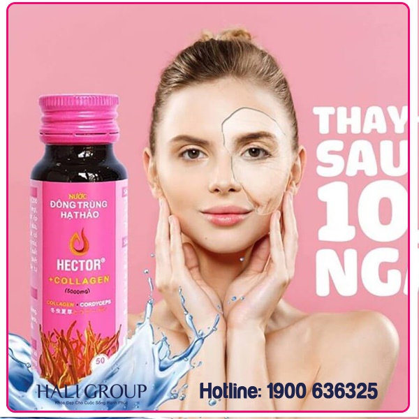 hector collagen