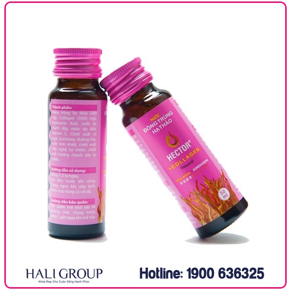 đông trùng hạ thảo hector collagen