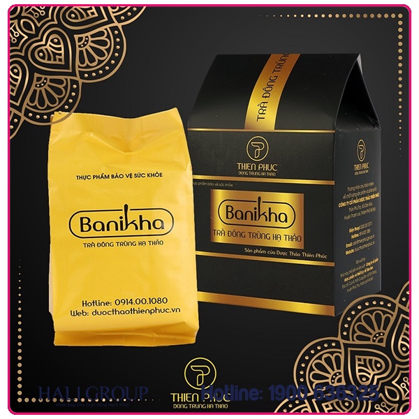 trà đông trùng hạ thảo banikha
