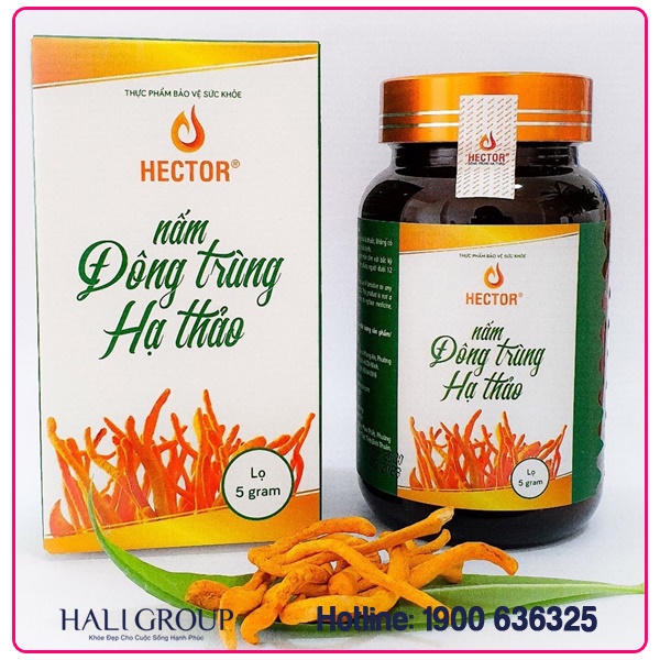 hector sấy thăng hoa