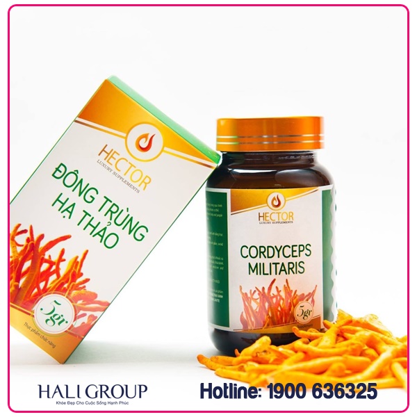 đtht khô sấy hector